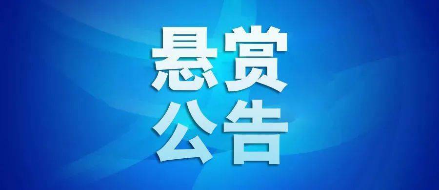 任城法院发布悬赏公告