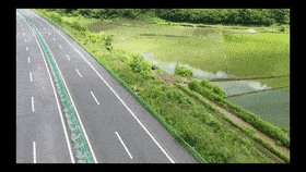 当晚7点,延吉分局接到安图县公安局反馈,称进入高速公路的黑熊为安图