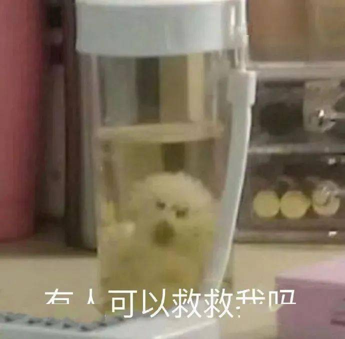 还有一类人喝凉水都塞牙,是妥妥的  "水逆体质".