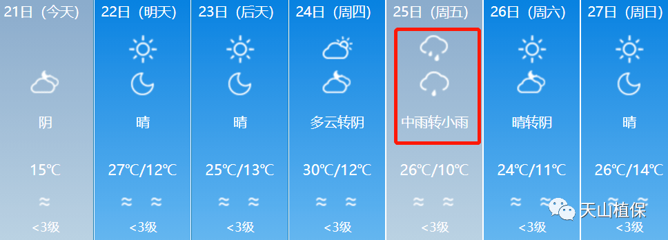 大风 暴雨 强对流天气来袭!棉田做好打顶前准备,未来7