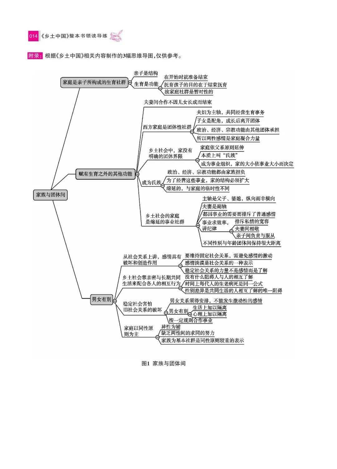 《乡土中国》整本书领读导练 《乡土中国》名师精讲思维导图版原著热