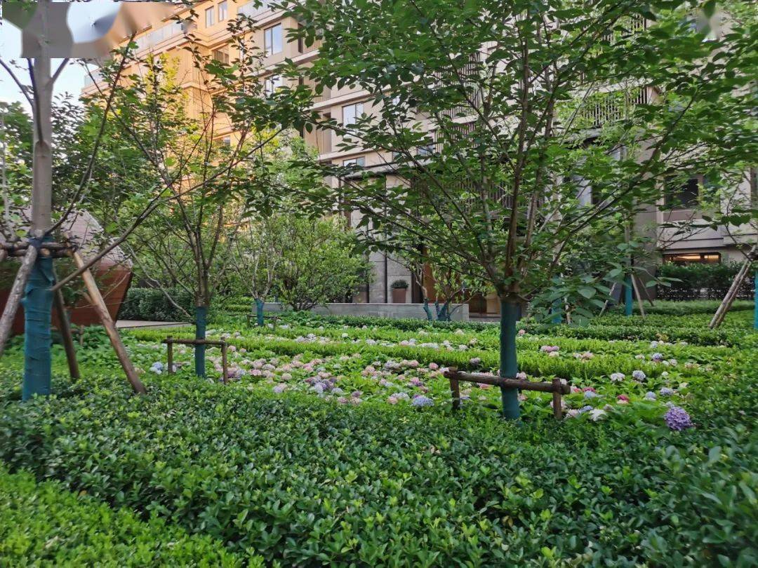 植物营造住宅大区景观空间