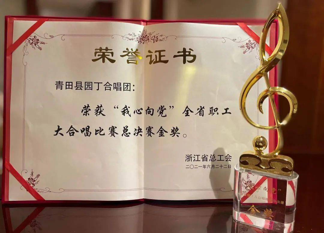 代表丽水市参加总决赛 并获得 总决赛金奖 荣誉证书 总