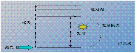 探针资本行业研究流式荧光