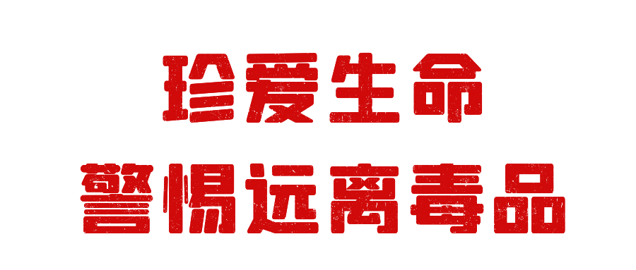 【禁毒日】珍爱生命 警惕远离毒品