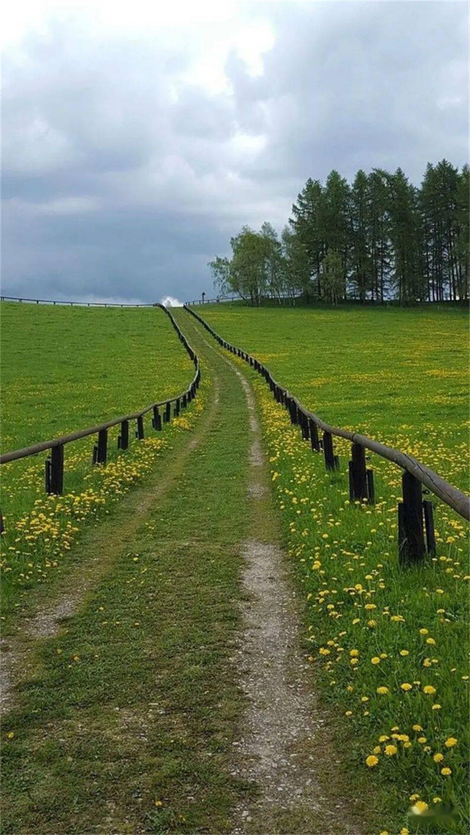 散步