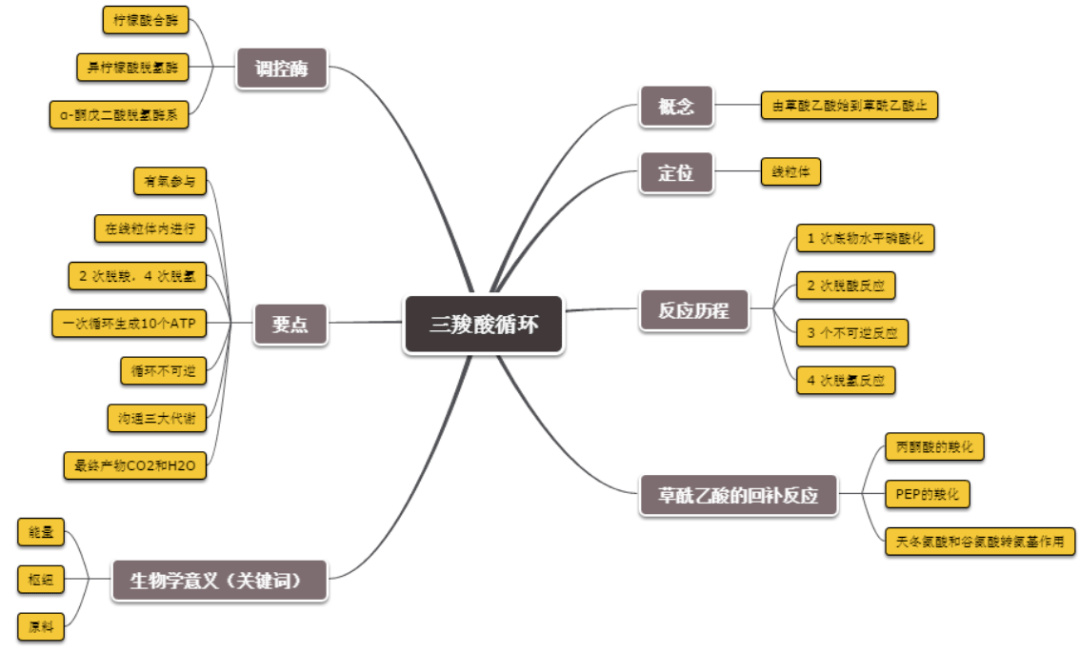 西农大北校区南门外五台山对不同人物对象的采访, 把"tca循环"编排成"