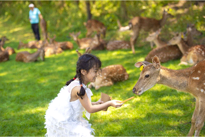 【设计师】盛夏之旅,在双阳找回青春的独家记忆