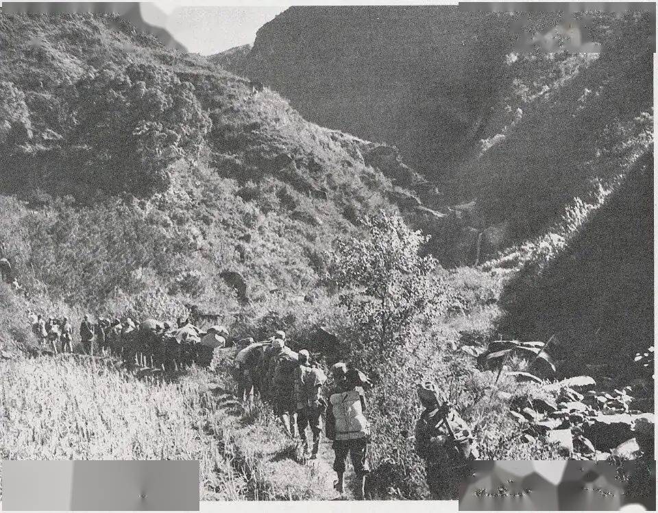 晋冀鲁豫野战军向大别山跃进