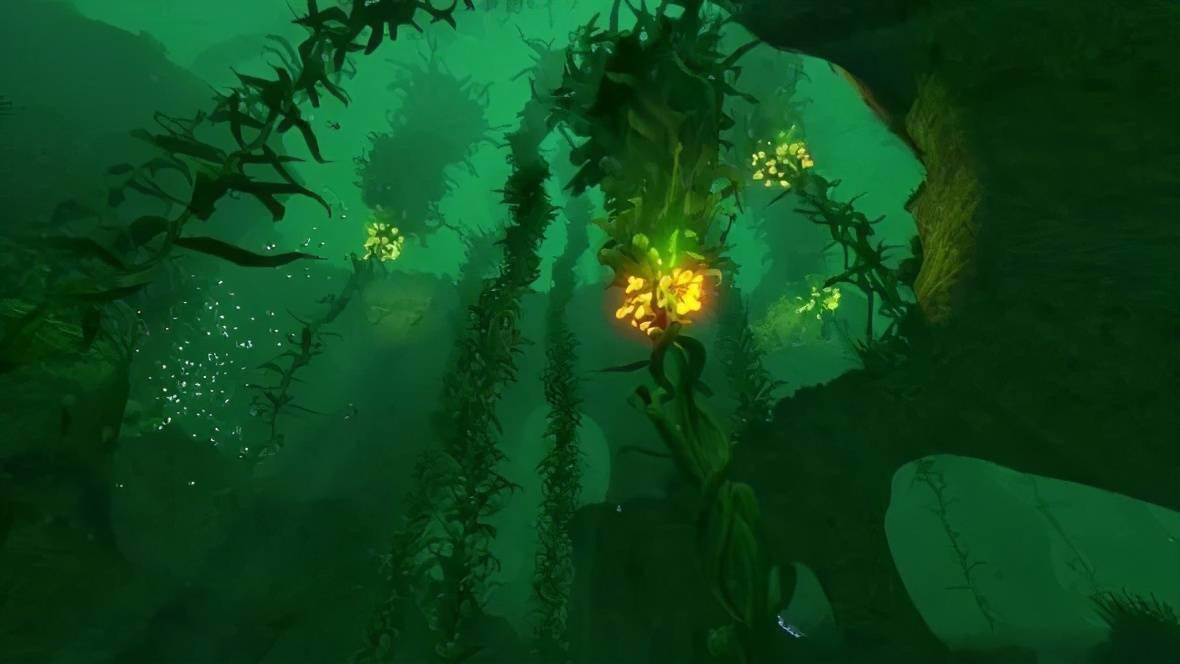 像是《深海迷航(subnautica)》这样其实根本不是恐怖游戏的作品,也被