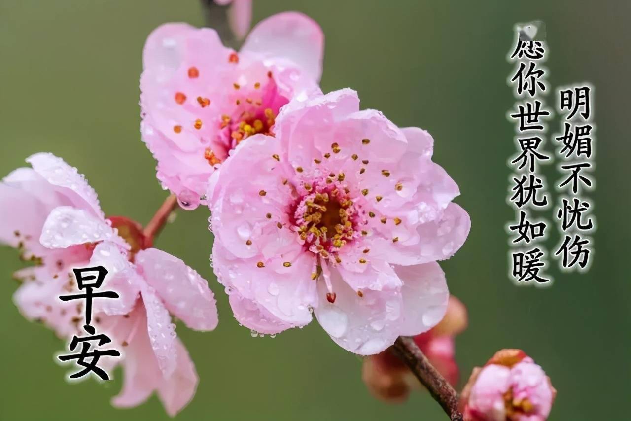 身体好,比啥都珍贵,心情好,比啥都重要,早上好