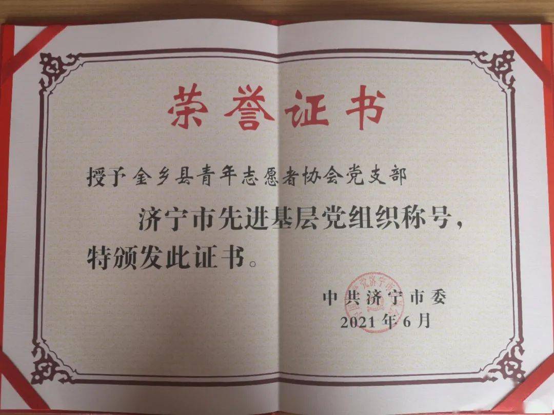 喜报| 团属社会组织金乡县青年志愿者协会党支部荣获济宁市先进基层党