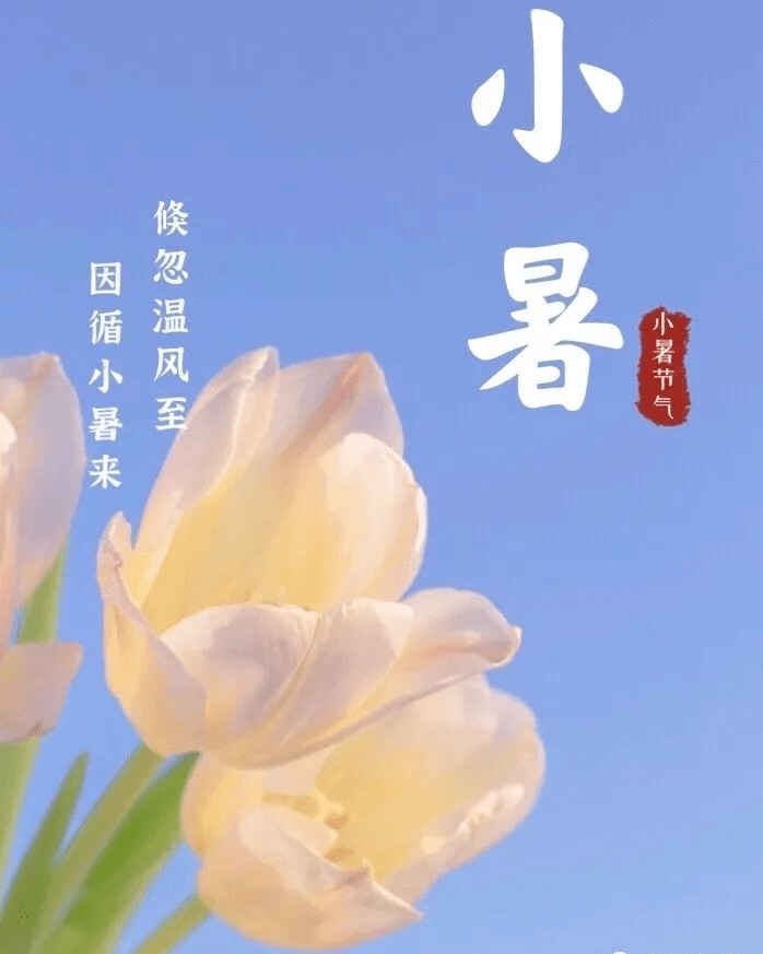 2021小暑节气早上好带字图片大全 朋友们早上好请注意