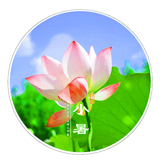 今日小暑, 不懂规矩要吃亏, 全家这么吃, 健康过夏天!