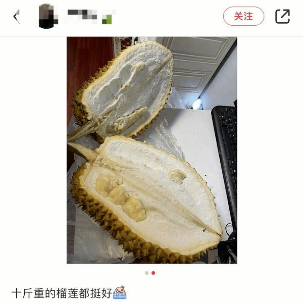 闻到榴莲就想吐的我看了一下午开榴莲视频