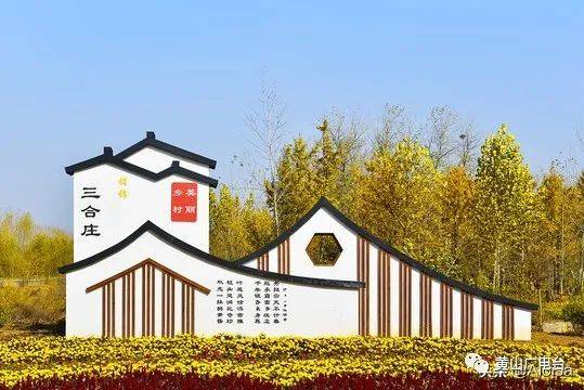 而且相对其他类型村牌,植物墙是有生命的,更有创意!