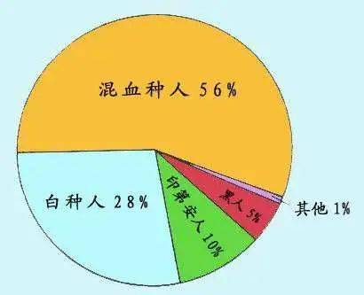 (南美洲人种分布)