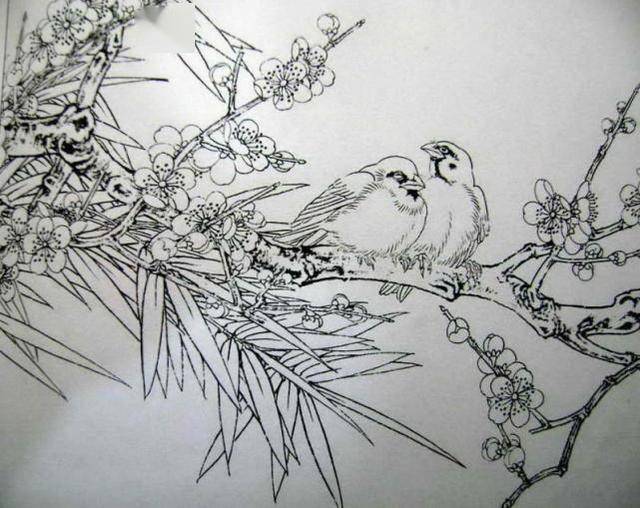 中国工笔花鸟绘画教程,工笔画各种技法画法步骤讲解,工笔白描稿!