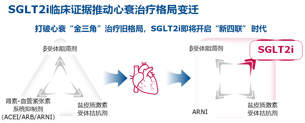 而且助力心衰治疗格局变迁,从心衰「金三角」治疗旧格局进入「新四联