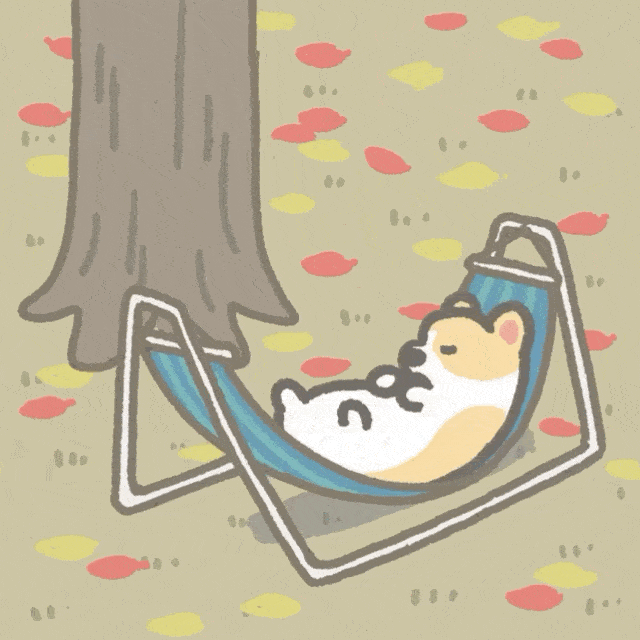 可爱魔性的短腿小柯基治愈整个夏天