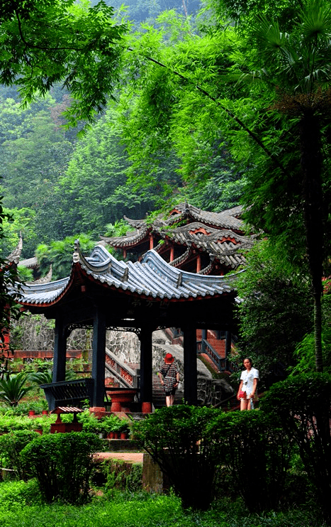 门票全免!乐山大佛,峨眉山等景区对全国中小学研学团队推出优惠