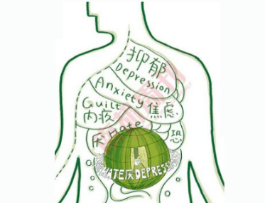 2.消化系统是情绪的替罪羊