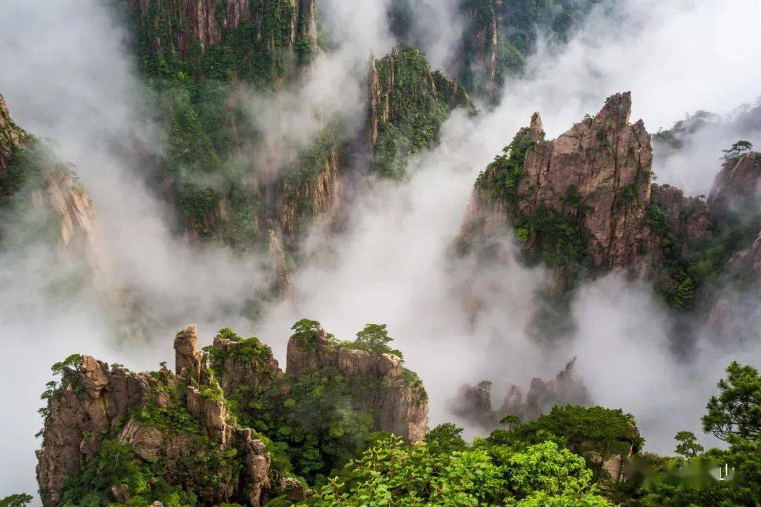 黄山之旅：评级背后的秘密揭露