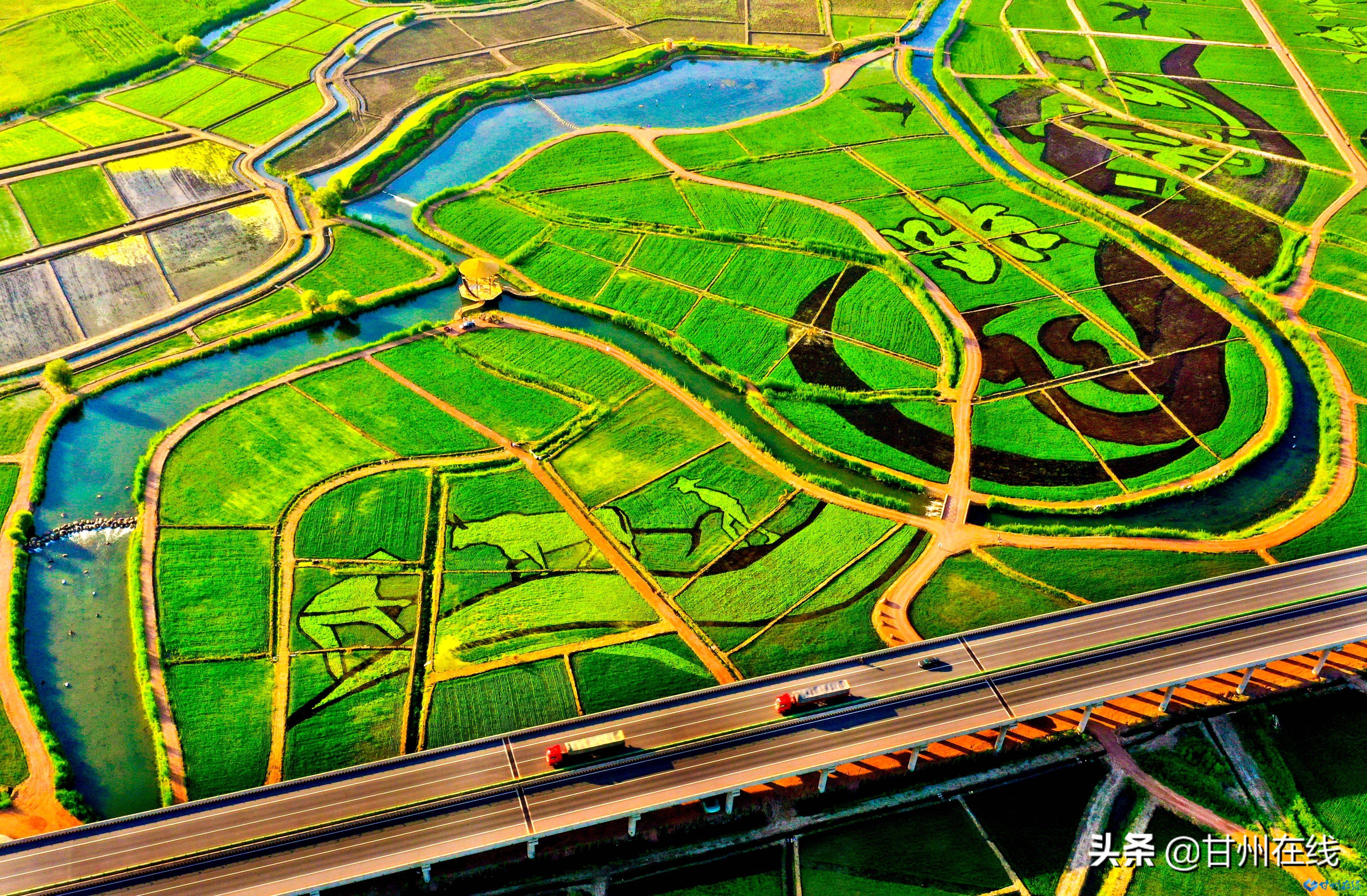 沿两条廊道形成稻田画艺术创作区,打造甘州城北的田园大地景观网红地