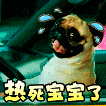 最美三伏天清凉的早上好图片表情祝福天气炎热防暑降温早上好问候图片