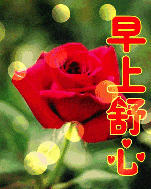 早安!            感,哲理,美文;敬请关注微信