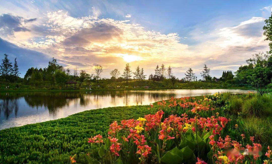 芳菲地体验天府国际慢城景区的慢生活