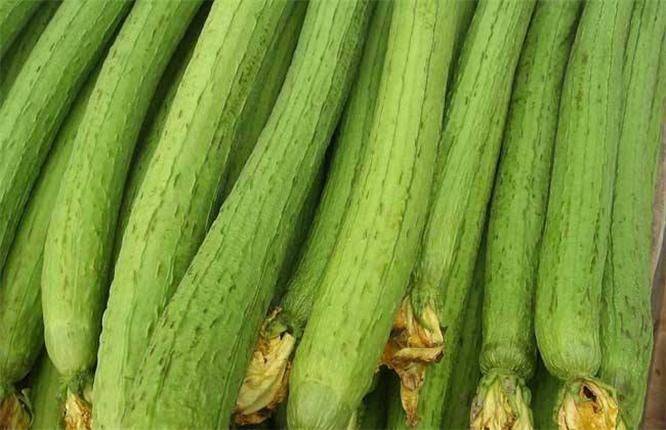 丝瓜配什么菜最有营养 e39280c1760d4612b364b0853230dff7.jpeg