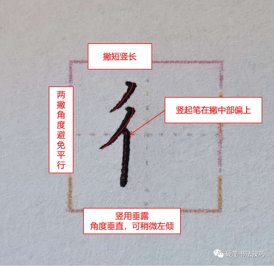 练字技法单人旁与双人旁应该如何写