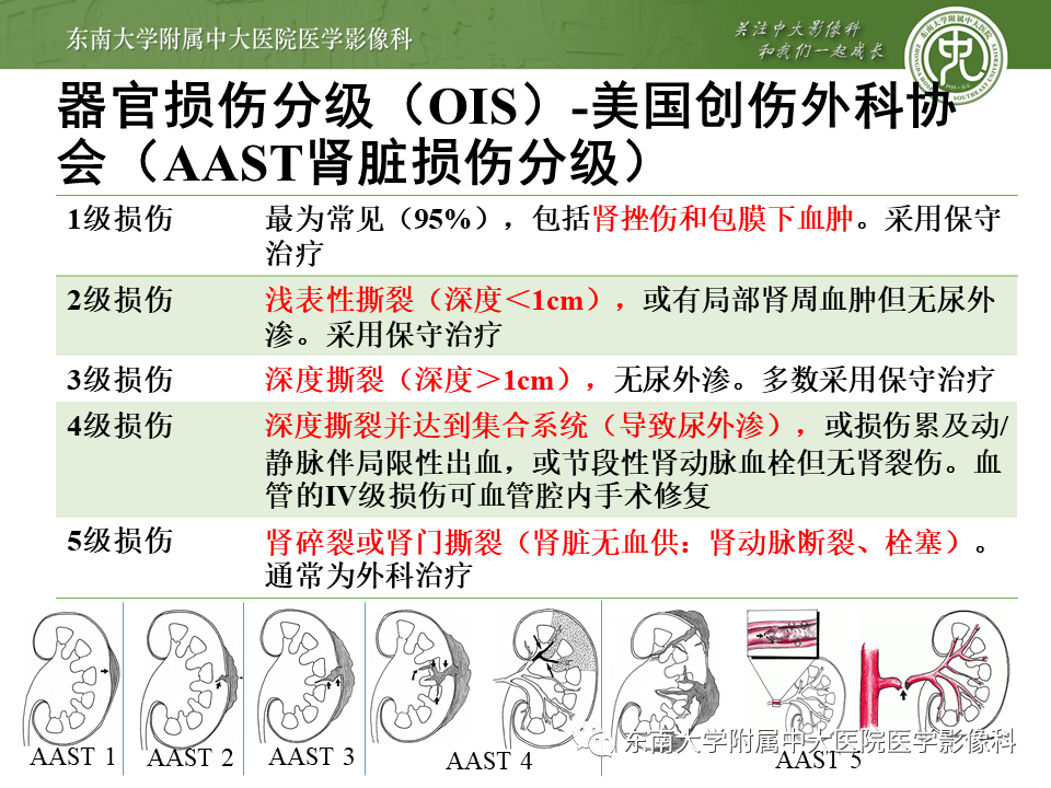 肾脏外伤影像学评估