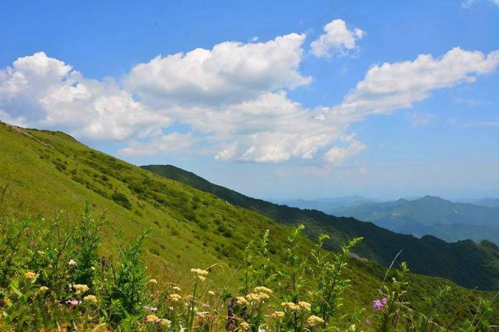 躺在草甸上松软而舒适登到山顶,草甸会遍布整个山脊已成为箭峪岭的