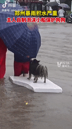 280_498 竖版 竖屏