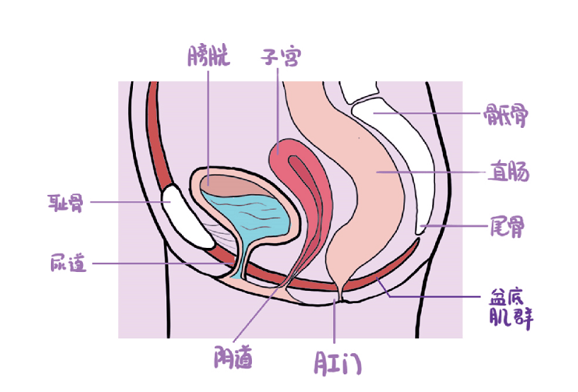 听妈妈们怎么说_女性