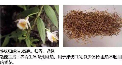 【收藏】史上最全中草药图谱(附主治功效)