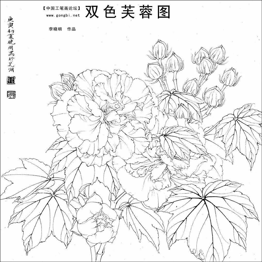 国画芙蓉花真是太漂亮了慢慢欣赏附教程