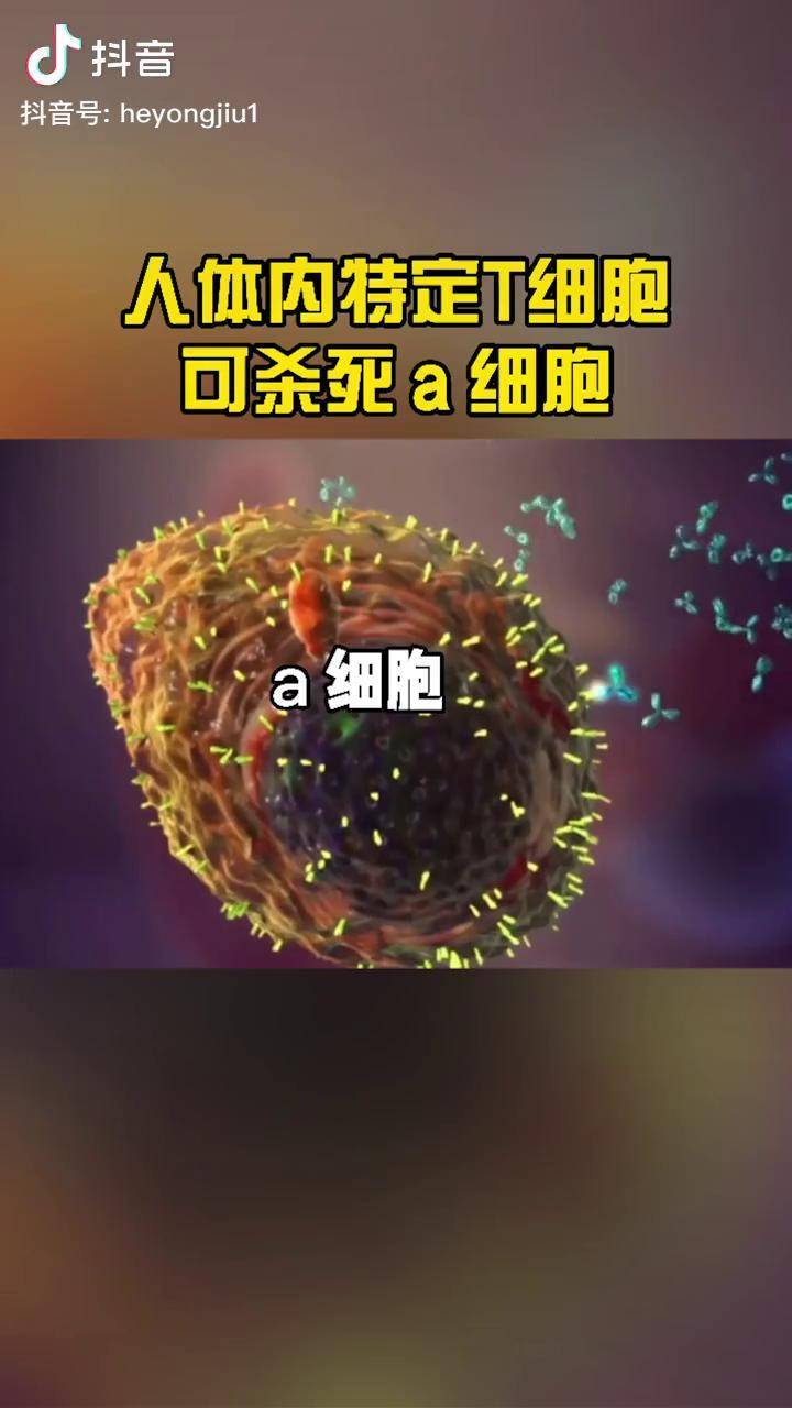 杀伤性t细胞是人体免疫的杀手锏细胞涨知识科普微观世界