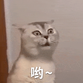 奇奇怪怪猫咪表情包