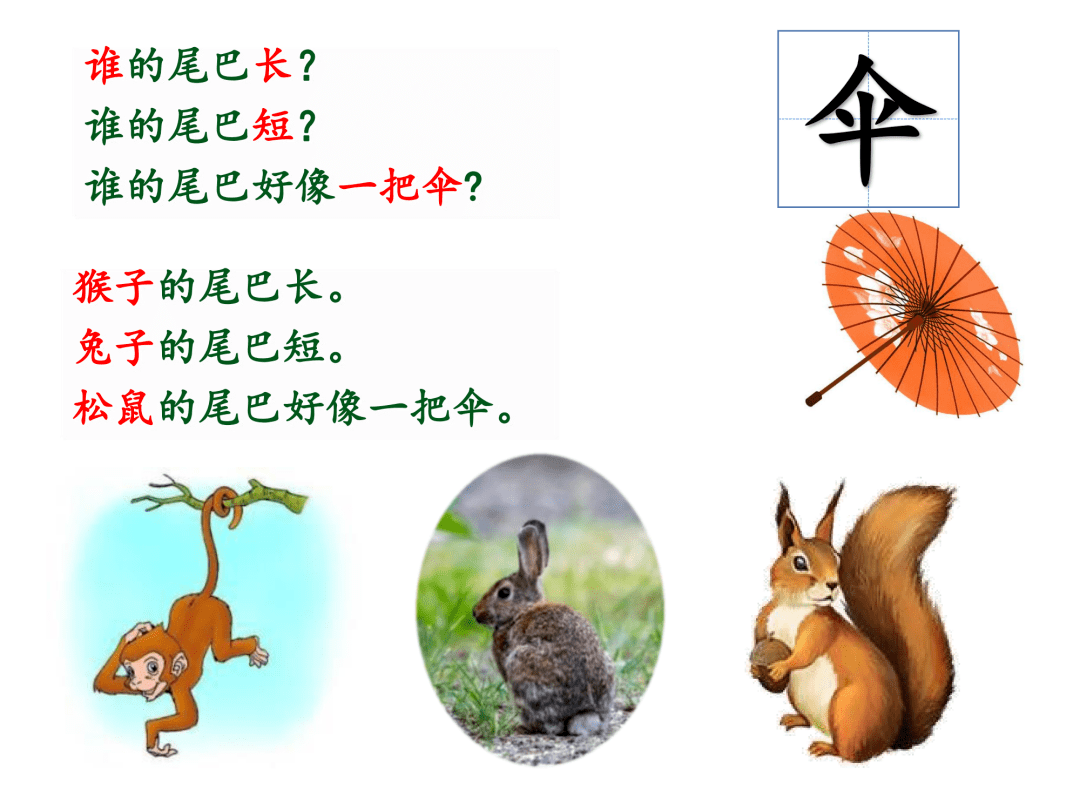 【教学设计ppt】比尾巴
