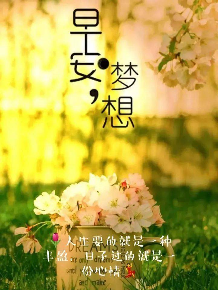 高段位早安文案,打造自己的咖位!