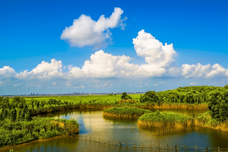 上海崇明西沙国家湿地公园