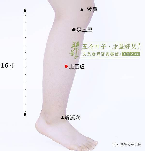 艾听艾灸治便秘排出毒素一身轻松附食疗方法