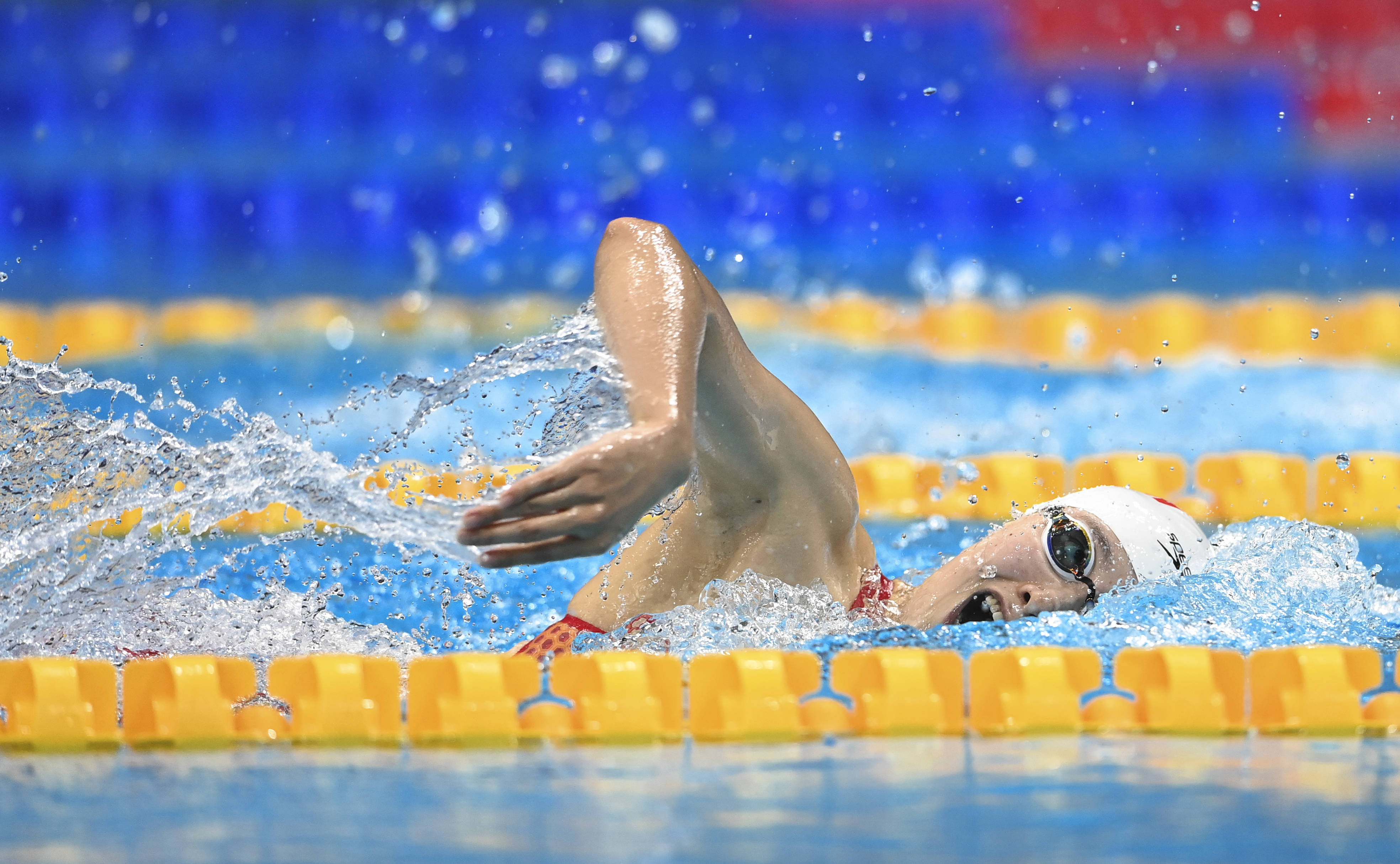 游泳—女子4x200米自由泳接力预赛赛况_中国队