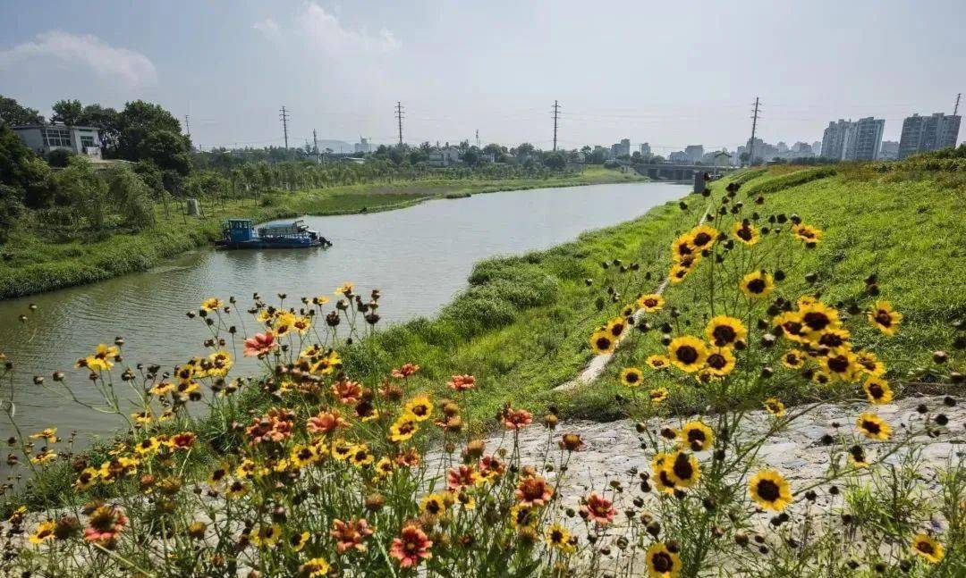 合肥唯一巢湖市双桥河入选省级示范河湖名单