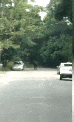 304_500 竖版 竖屏