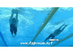 通过gif动图来掌握游泳动作