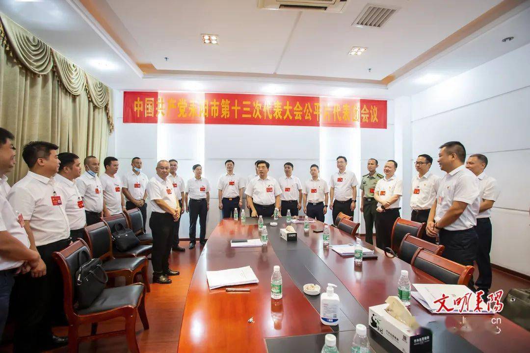 赖馨正率市领导看望党代表